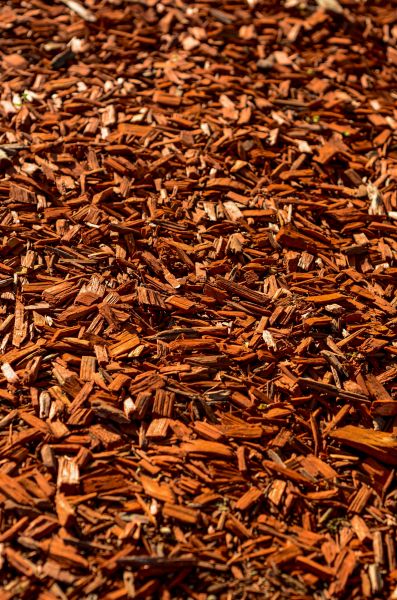 Cedar Mulch Spreading in Saint Cloud