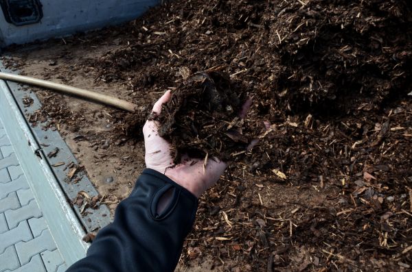 Condo Mulching in Saint Cloud