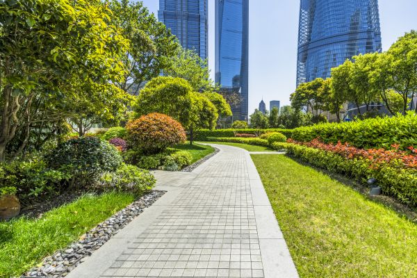 Commercial Landscaping in Saint Cloud