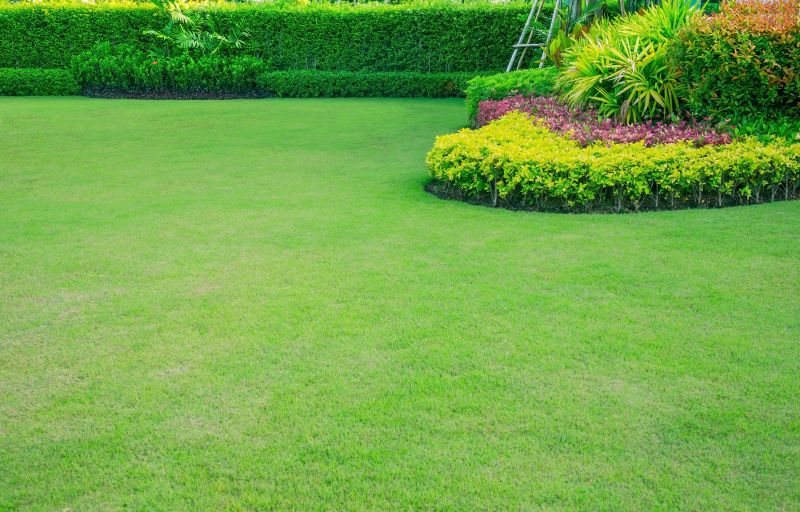 Lawn Edging Service